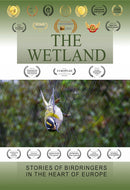 The Wetlands
