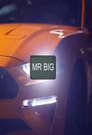 Mr. Big