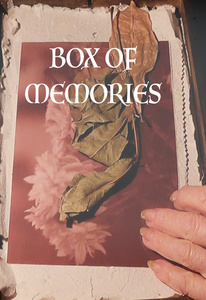The Box of Memories